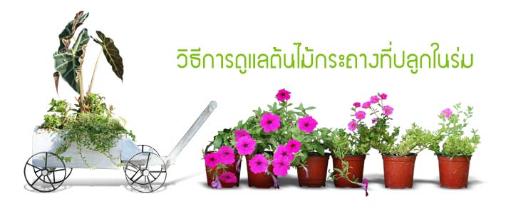 Article01